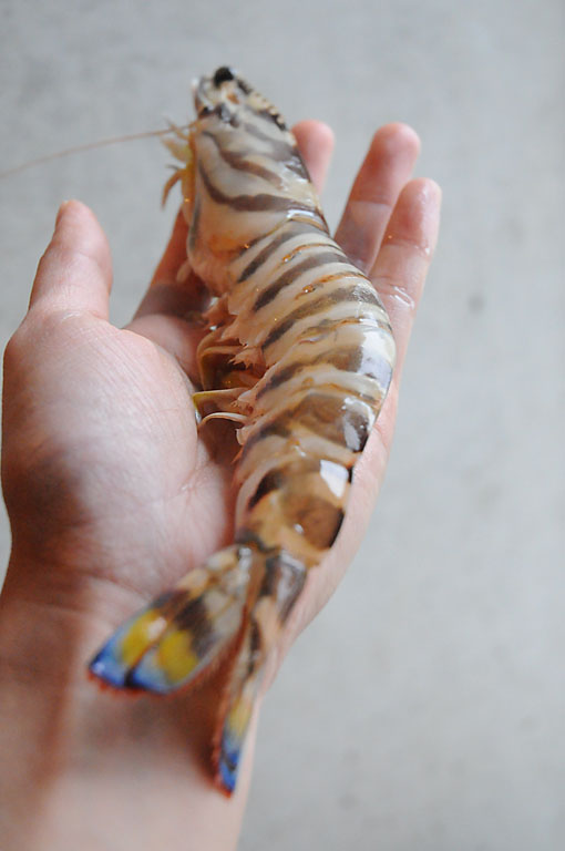DSC_6758.jpg